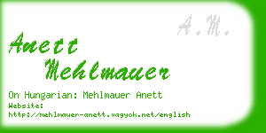 anett mehlmauer business card